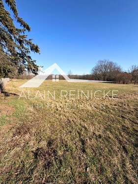 Überblick Baugebiet - Grundstück in Lichtenwalde zum Kaufen