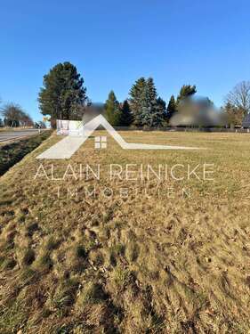 Überblick Baugebiet - 