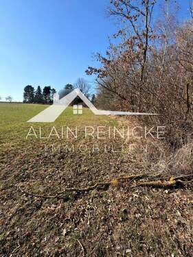 Überblick Baugebiet - 