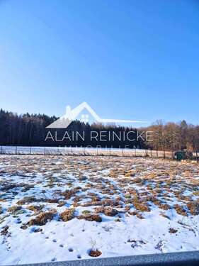 Grundstück - Grundstück in Neukirchen/Erzgebirge zum Kaufen