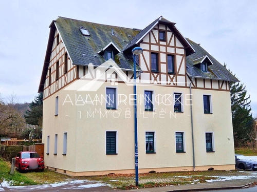 Hausansicht - MFH Oelsnitz - 399.000,00&nbsp;EUR Kaufpreis, ca.&nbsp; 396,50&nbsp;m&sup2;&nbsp;Wohnfl&auml;che