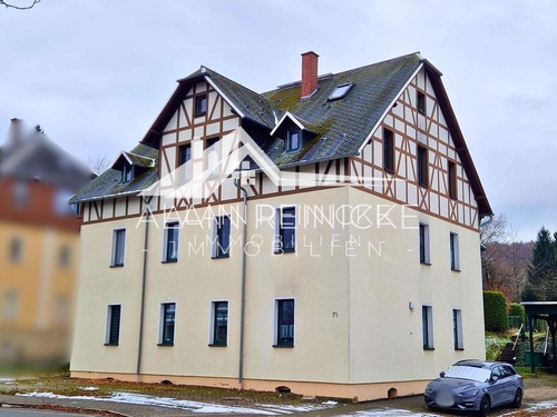 Straßenansicht - 13 Zimmer Mehrfamilienhaus, Wohnhaus zum Kaufen in Oelsnitz