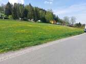 Wald und Wiese und Ausblick - 