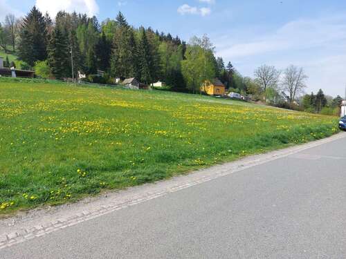 Wald und Wiese und Ausblick - 