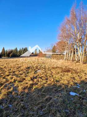 Ansicht Baufeld - idyllisch Wohnen am Waldrand in Einsiedel