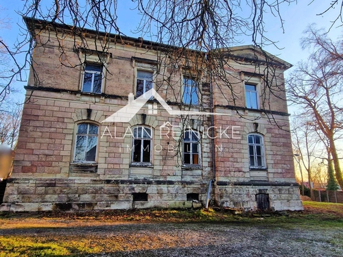 Schönheit im Winterschlaf - Villa zum Kaufen in Chemnitz