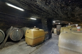 Weinkeller unter Haupthaus - 