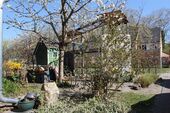 Garten vorne - 