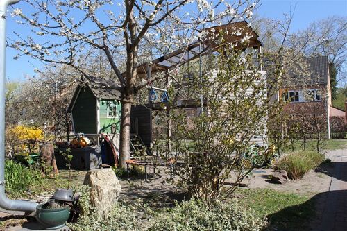 Garten vorne - 