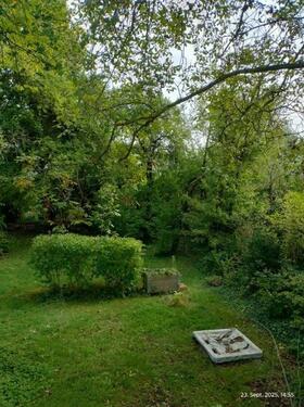 Blick in den Garten - 