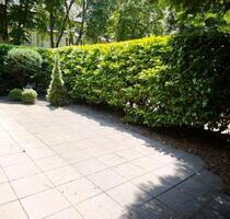 Köln-Junkersdorf, schiclke 3-Zimmer Wohnung mit Kamin, großer Terrasse und TG-Stellplatz