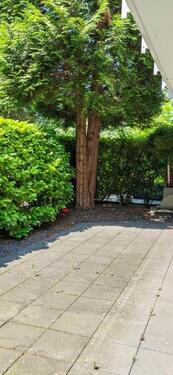 Terrasse - 