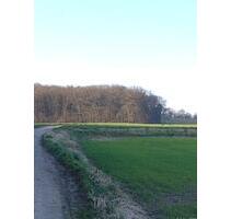 Helle, bezugsfreie 2,5-Zimmer Wohnung in Waldrandlage von Frechen-Königsdorf