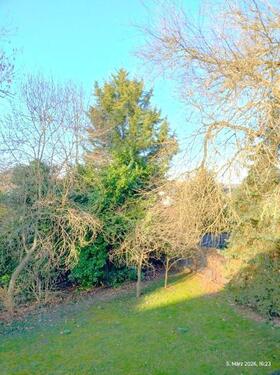 Blick aus dem Fenster ins Grüne - Etagenwohnung mit 57,00 m&sup2; in Frechen zum Kaufen