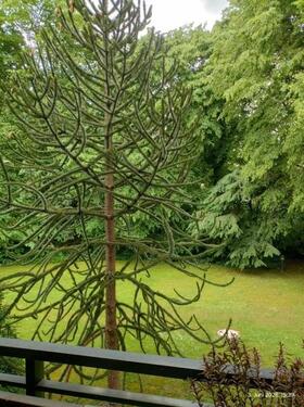 c_Terrasse Ausblick (2) - 