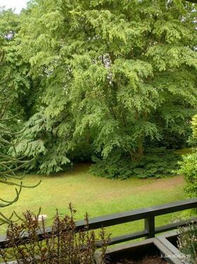 c_Terrasse Ausblick - 