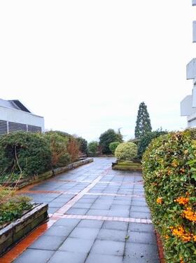 h_Gemeinschaftlicher Dachgarten - 