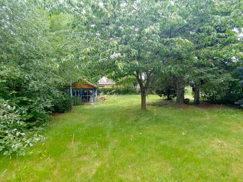 Gartenblick zum anderen Ende des Grundstücks - Einfamilienhaus zum Kaufen in Köln