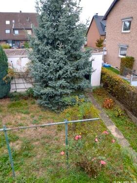 Garten - 
