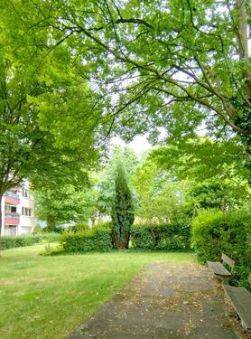 Gemeinschaftsgarten - 