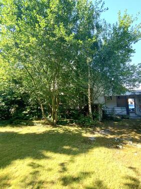 Garten, Blick zum Gebäude - 