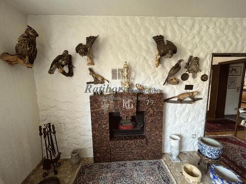 Kamin im Wohnzimmer EG - 11 Zimmer Mehrfamilienhaus, Wohnhaus in Roth