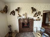 Kamin im Wohnzimmer EG - 11 Zimmer Mehrfamilienhaus, Wohnhaus in Roth