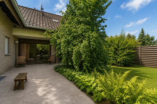KI - Gartenbereich (2) - 