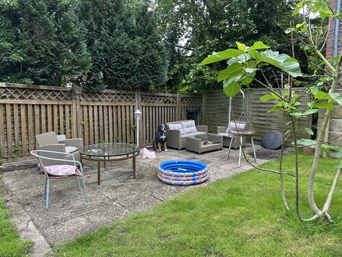 Terrasse - 