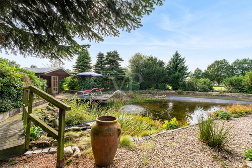Naturteich - 