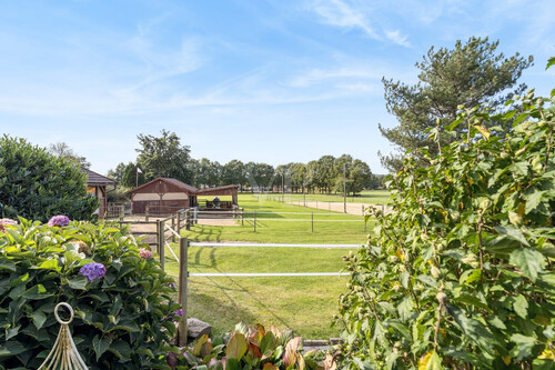 Terrassenaussicht - 