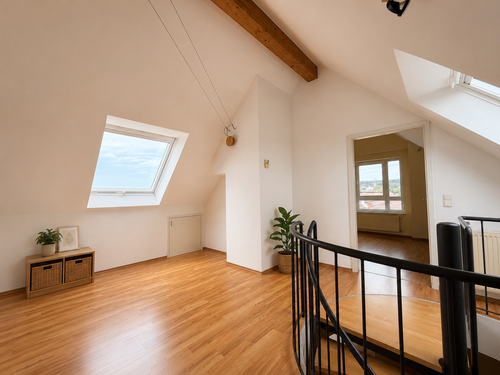 Galerie/Arbeitszimmer - 