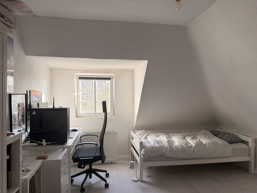DG Zimmer - 