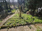 Garten - 5 Zimmer Reihenmittelhaus zum Kaufen in Hanau
