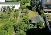 Blick in den Garten - 