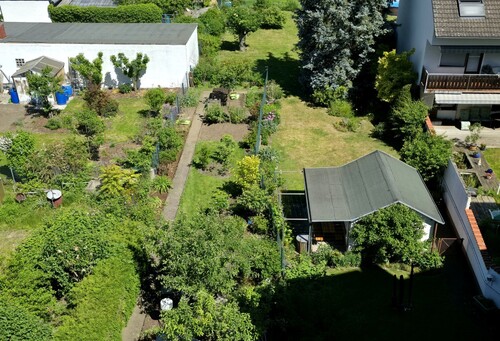 Blick in den Garten - 