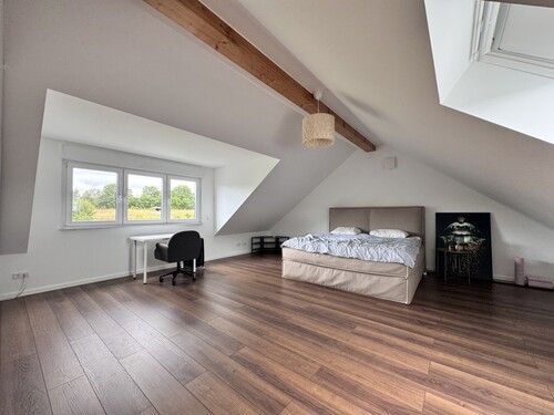 Dachstudio - 