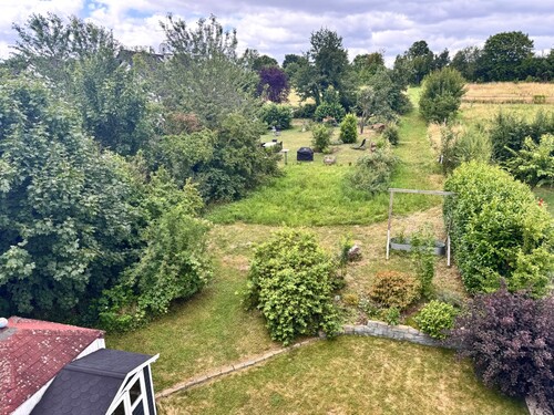 Blick in den Garten - 