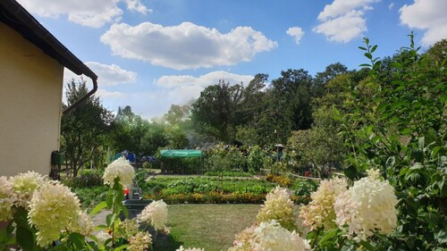 Garten - 
