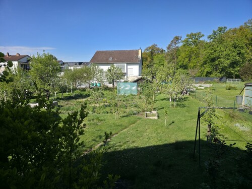 Blick in den Garten - 7 Zimmer Zweifamilienhaus in Eppertshausen