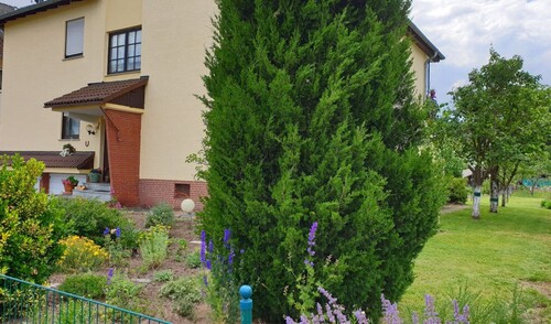 Vorderansicht mit Garten - 