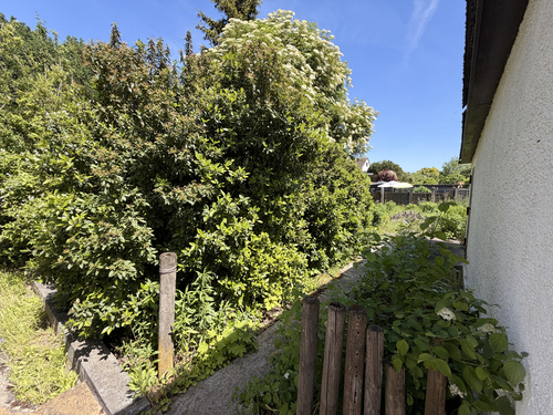 Garten neben Garage - Mehrfamilienhaus, Wohnhaus mit 190,00 m&sup2; in Trebur zum Kaufen