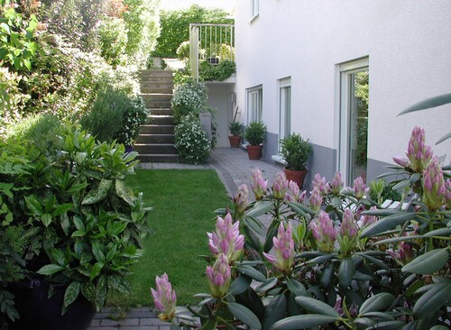 Seitenansicht - 6 Zimmer Doppelhaushälfte in Bad Soden