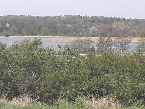 Blick nach Westen zum Peenestrom - Grundstück zum Kaufen in Wolgast