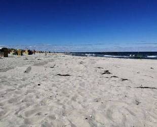 Auf der Sonneninsel Usedom haben wir Ihr das passende Bau-Grundstück, für Ihr neues Leben mit Ostsee-Strand + Segeln + Golfen - Peenemünde
