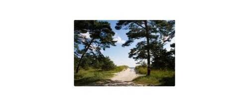 Peenemünde auf Usedom Impressionen - Grundstück zum Kaufen in Peenemünde