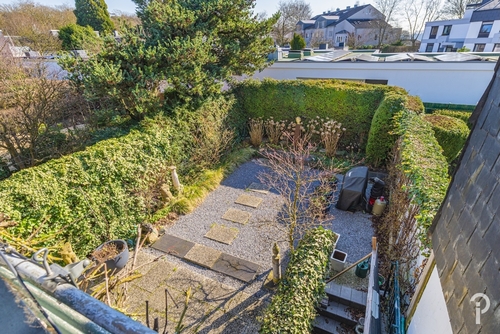 Blick in den Garten - 