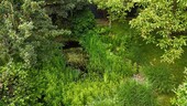 Teich - 