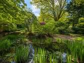 Gartenteich - 