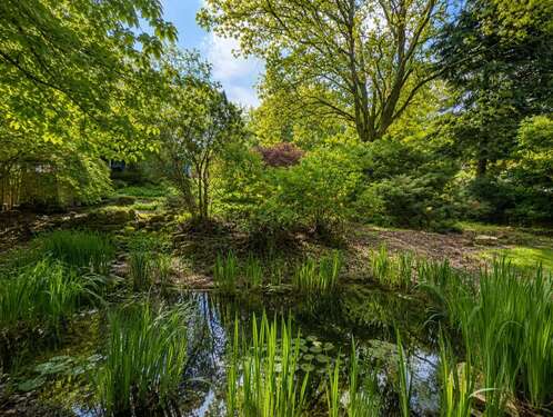 Gartenteich - 